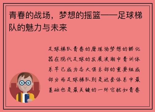 青春的战场,梦想的摇篮——足球梯队的魅力与未来